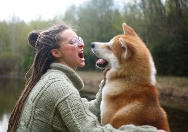 Dog Years
